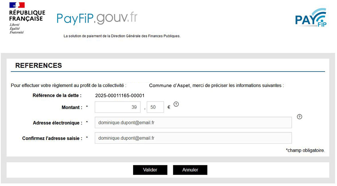 PayFiP-03