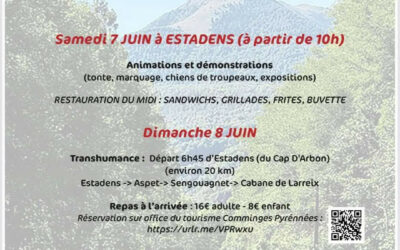 Fête de la transhumance