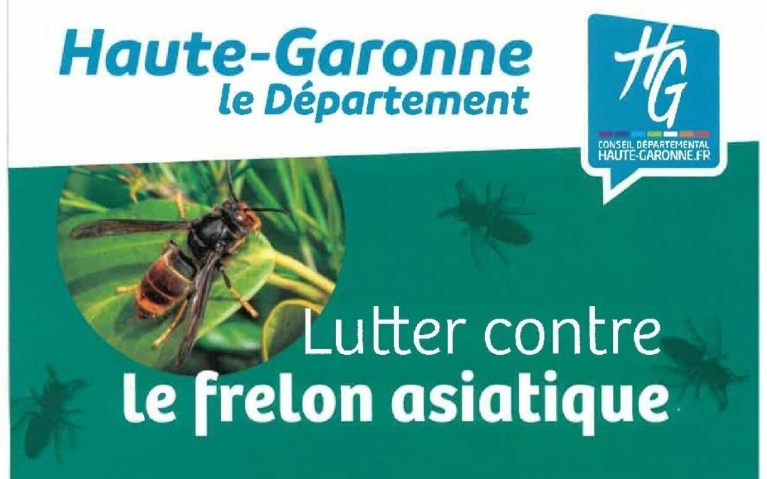 Lutte contre le frelon asiatique