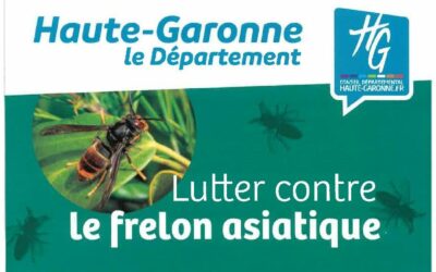 Lutte contre le frelon asiatique